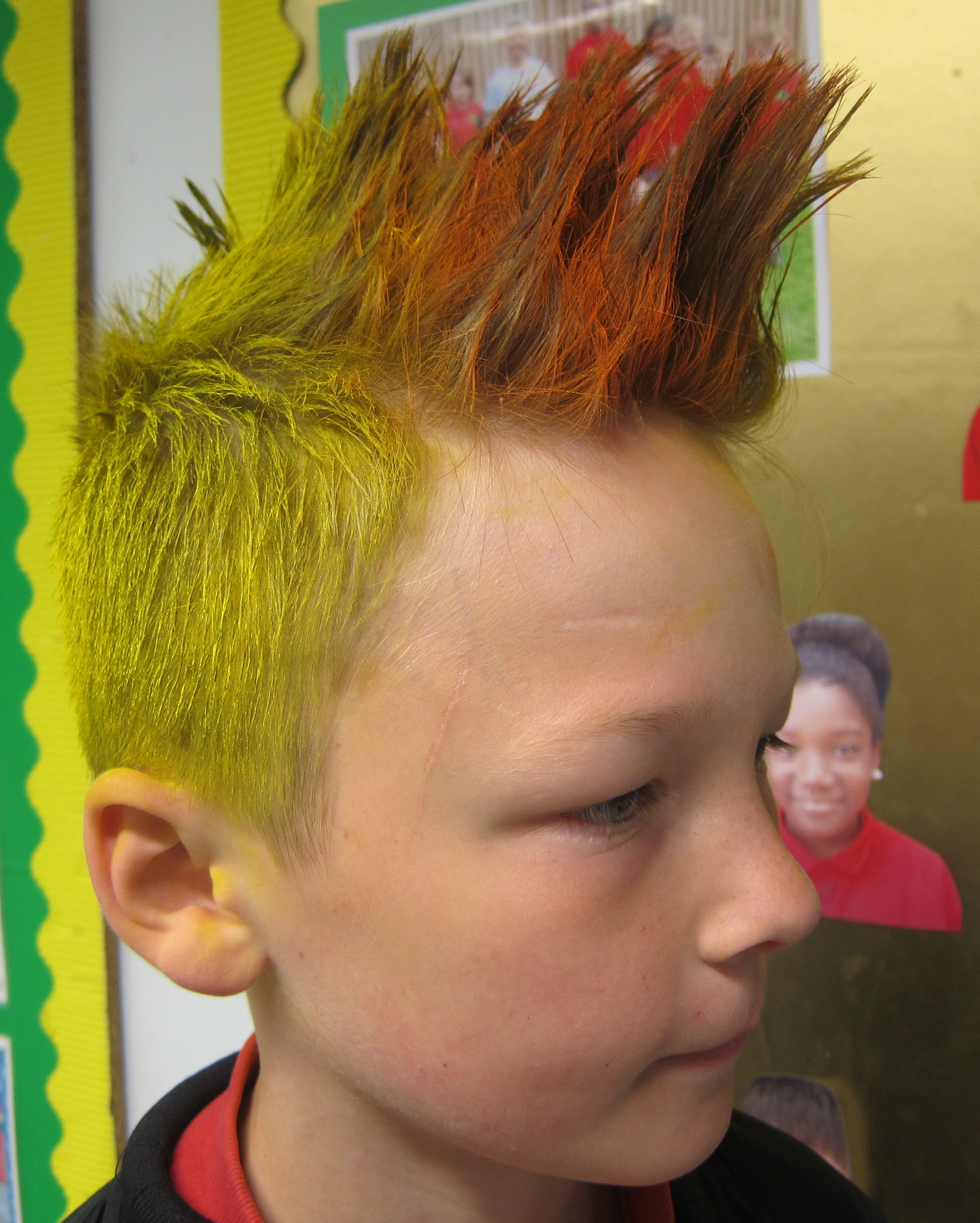 Crazy hair (15) – Holly Park Primary School